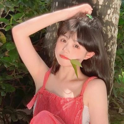 世界计划缤纷舞台中文版下载最新版